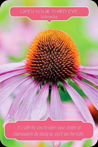 Open je derde oog - Zonnehoed