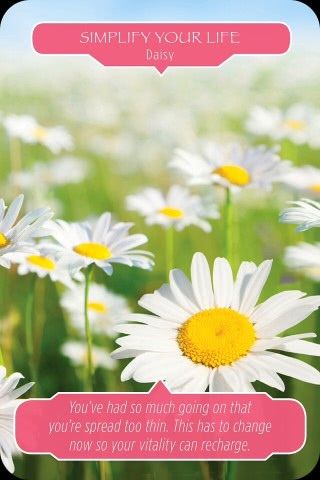 Versimpel je leven - Madeliefje