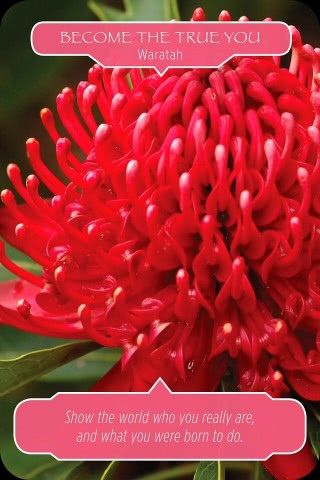 Wees je ware zelf - Waratah