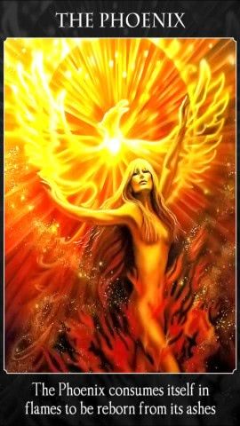 De Phoenix