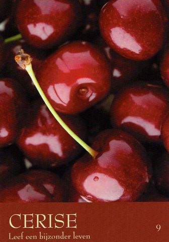Cerise