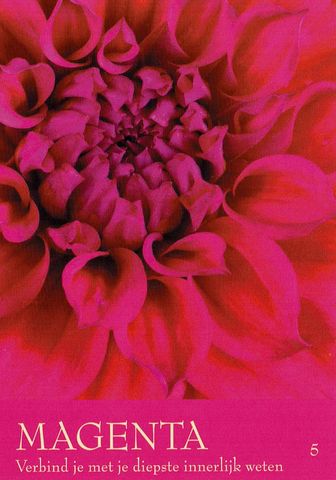 Magenta