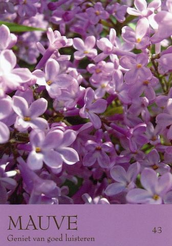 Mauve