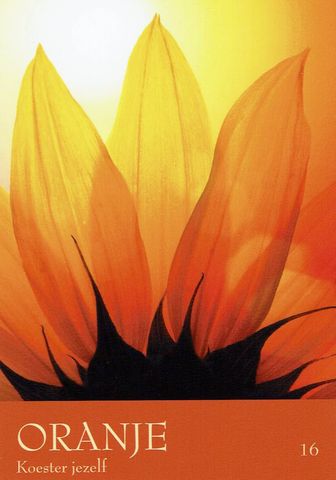 Oranje