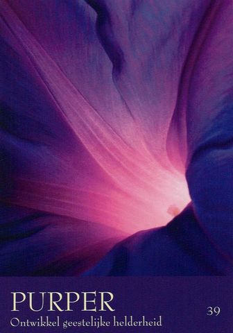 Purper