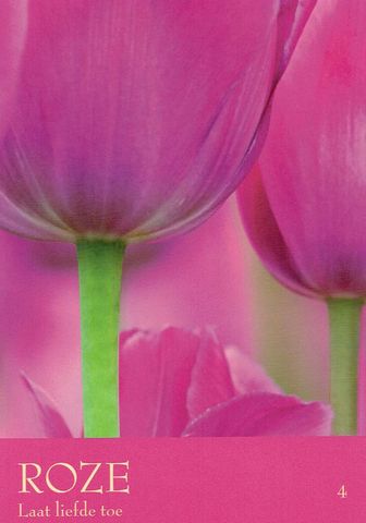 Roze