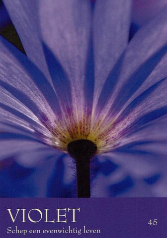 Violet