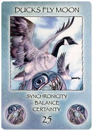 Maan van de Vliegende Eenden