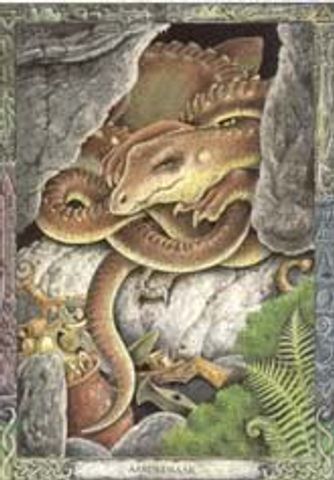 Aardedraak (draig-talmh)