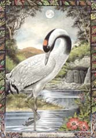 De Kraanvogel (Corr)