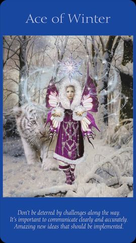 Aas van Winter