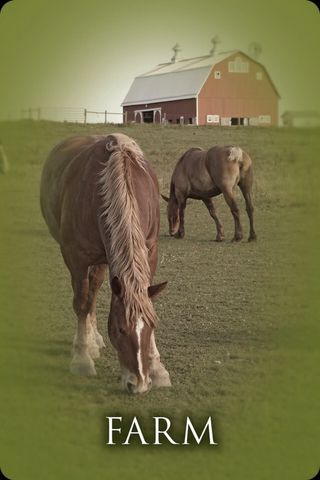 Boerderij