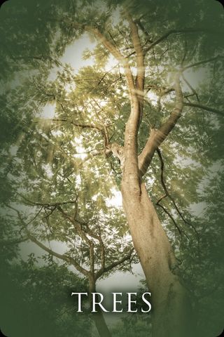Bomen