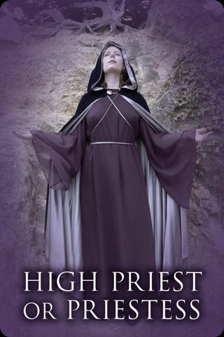Hogepriester of Hogepriesteres