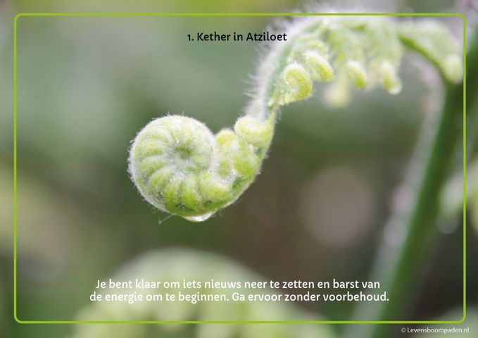 Dalet