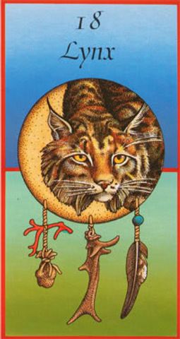 Lynx