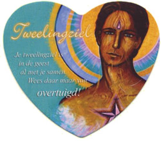 Tweelingziel