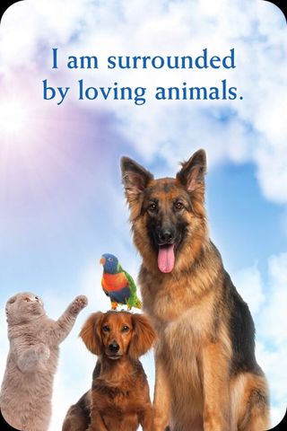 Ik ben omringd met liefdevolle dieren