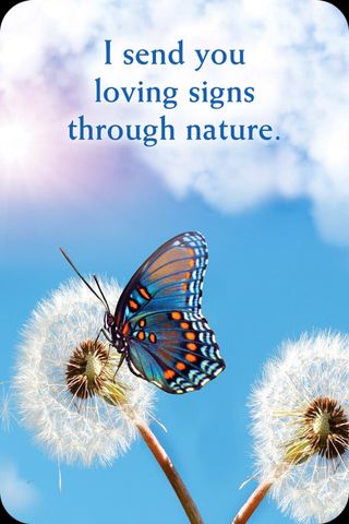 Ik stuur je liefdevolle signalen via de natuur