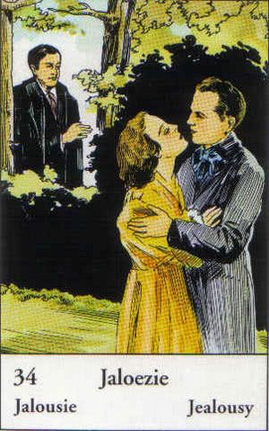 De jaloezie