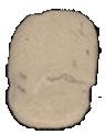 Odin