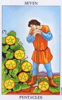 Tarotkaart Pentakels VII