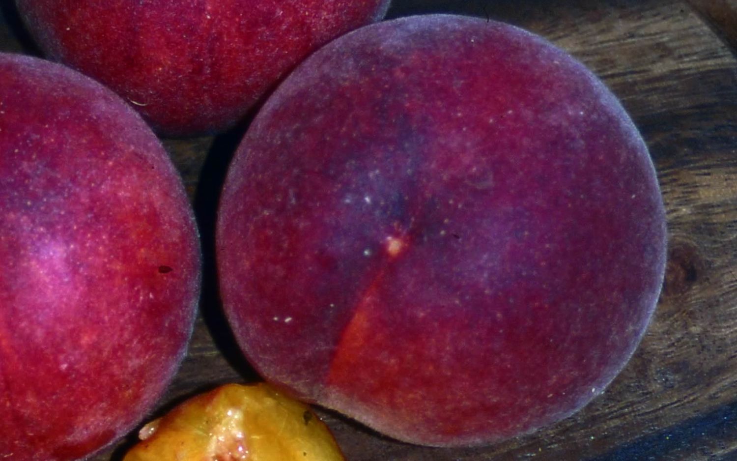 Garden Lady peaches