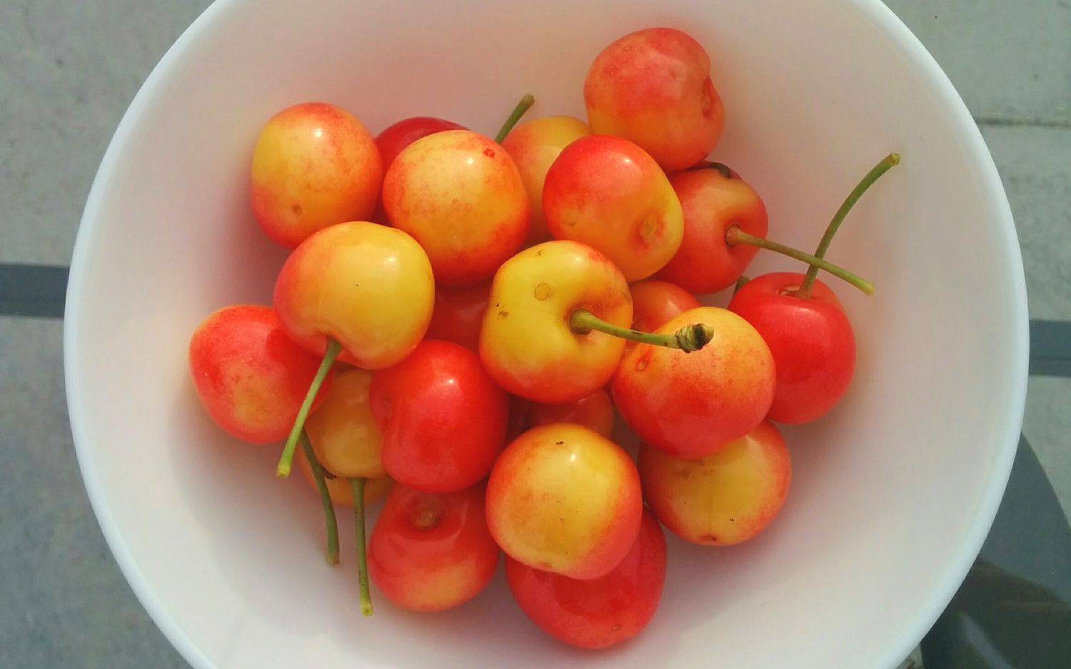 Stardust sweet cherries
