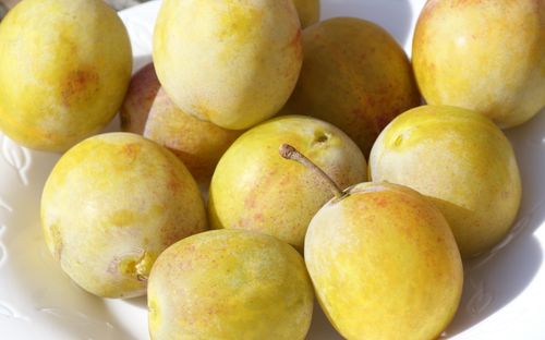 Jefferson plums