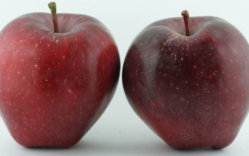 Red Delicious apples
