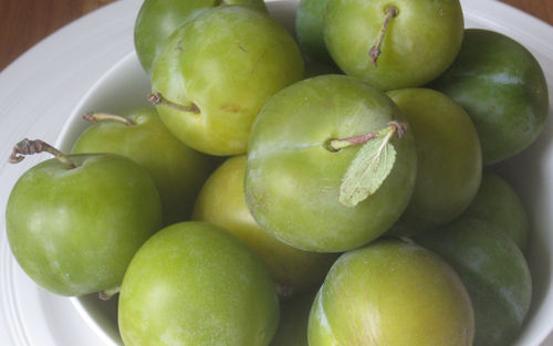 Reine Claude Doree plums