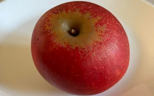 Hamid's Red Pippin