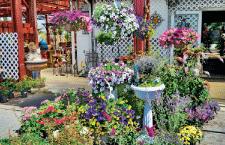 M&M Nursery