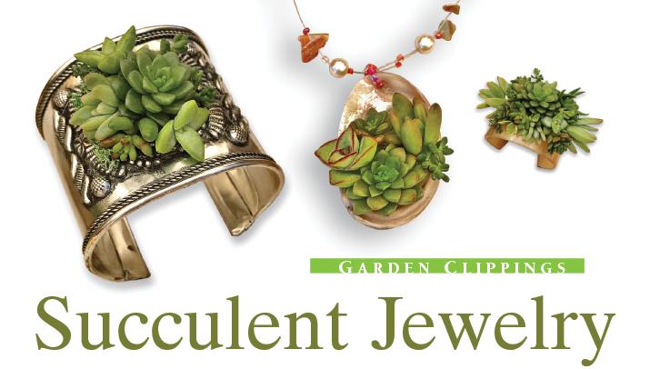 Succulent Jewelry