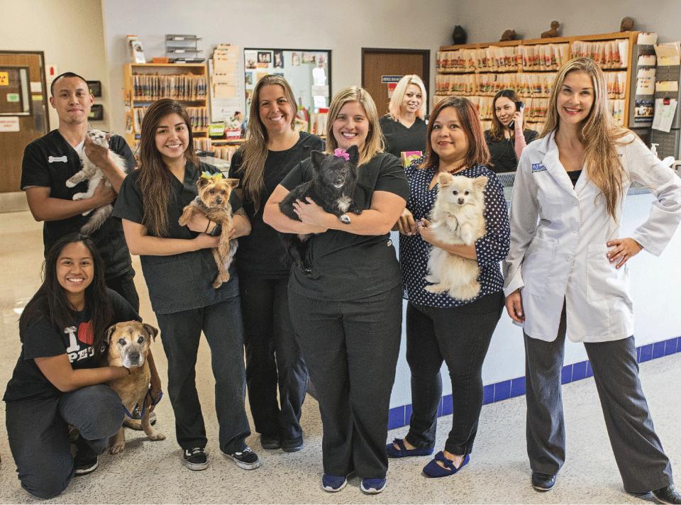 Pet Hospital of Orange