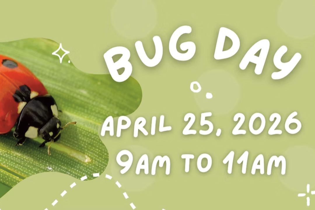 Bug Day