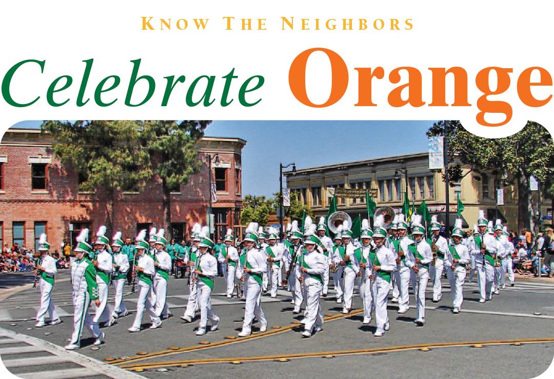 Celebrate Orange