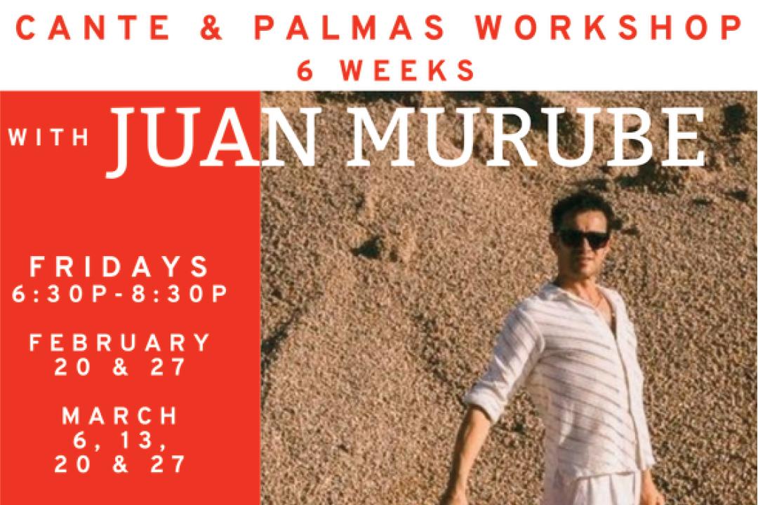 Cante & Palmas Workshop