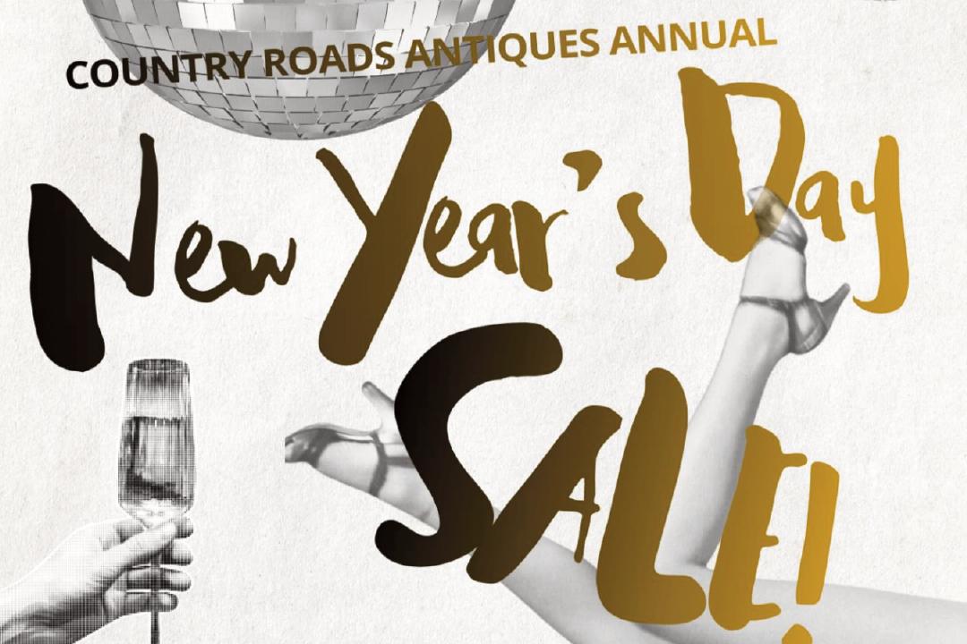 New Year's Day Sale 2026