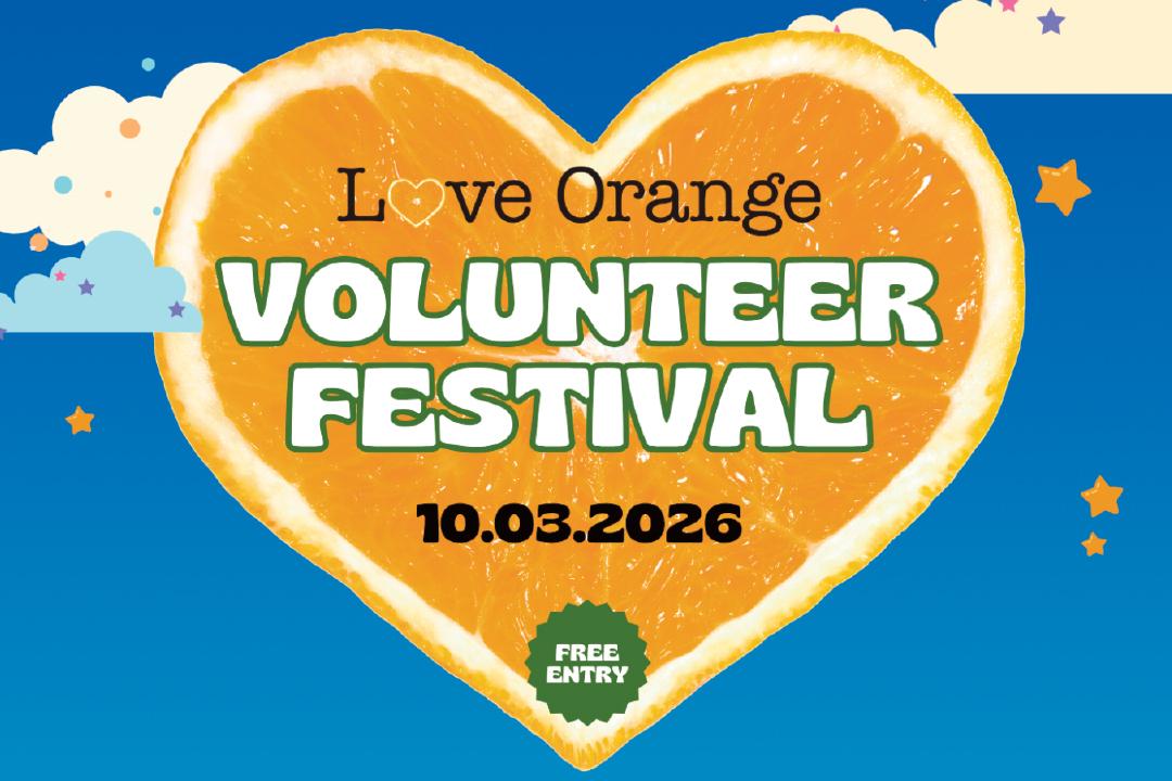 City-Wide Volunteer Day & Festival