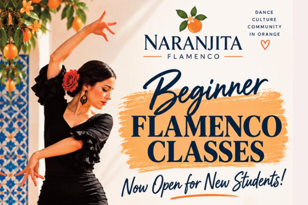 Adult Beginner Class