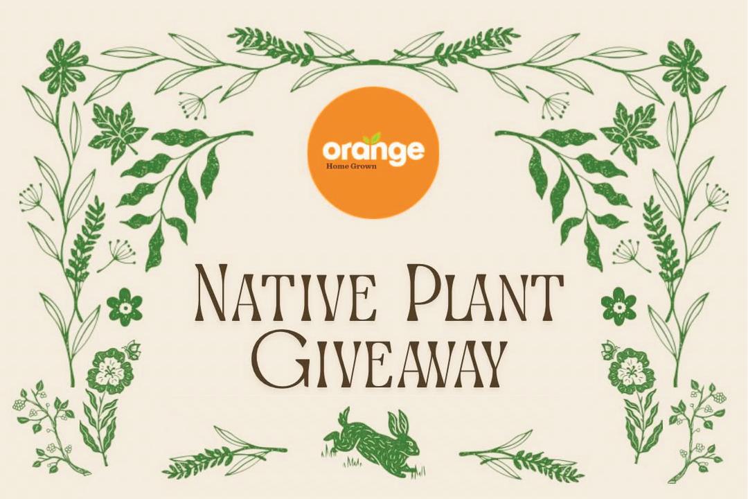 Native Plant Give Away