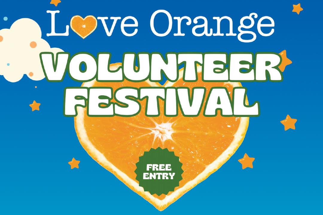 City-Wide Volunteer Day