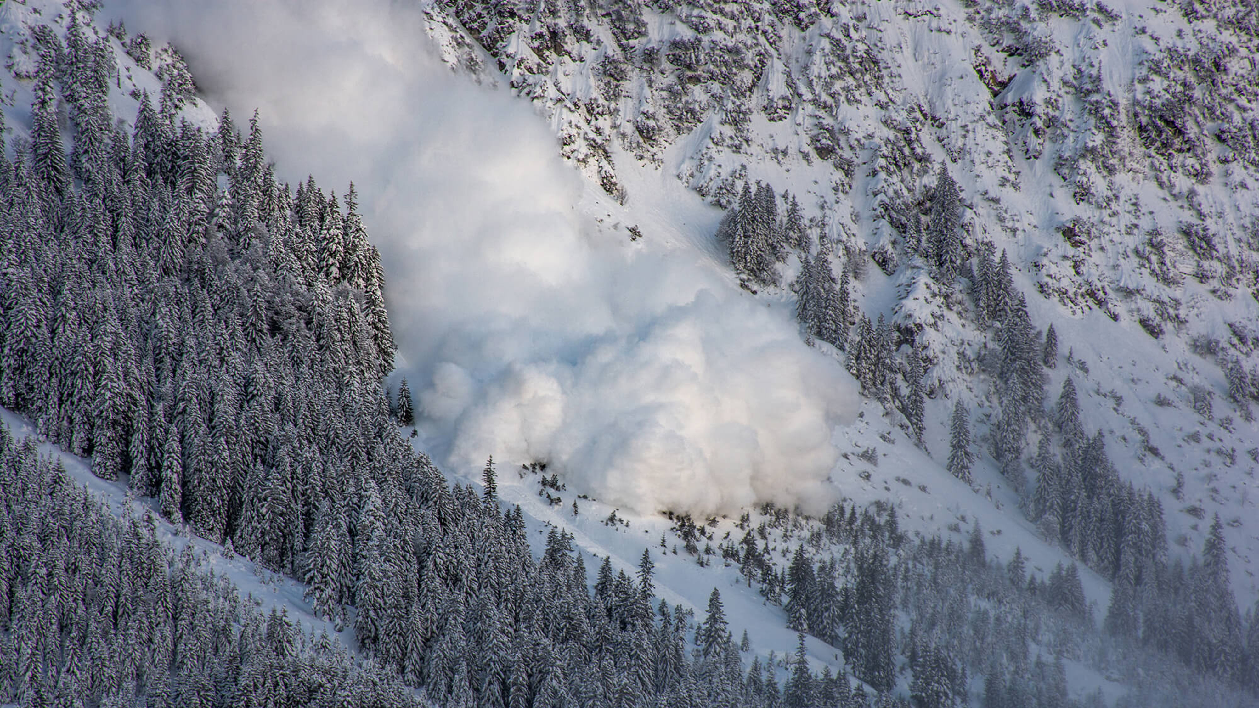 Aerial photo of an avalanche