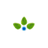 Anupam Rasayan India Ltd. logo Anupam Rasayan India Ltd. logo