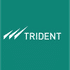 Trident Ltd. logo Trident Ltd. logo