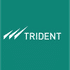 Trident Ltd. logo