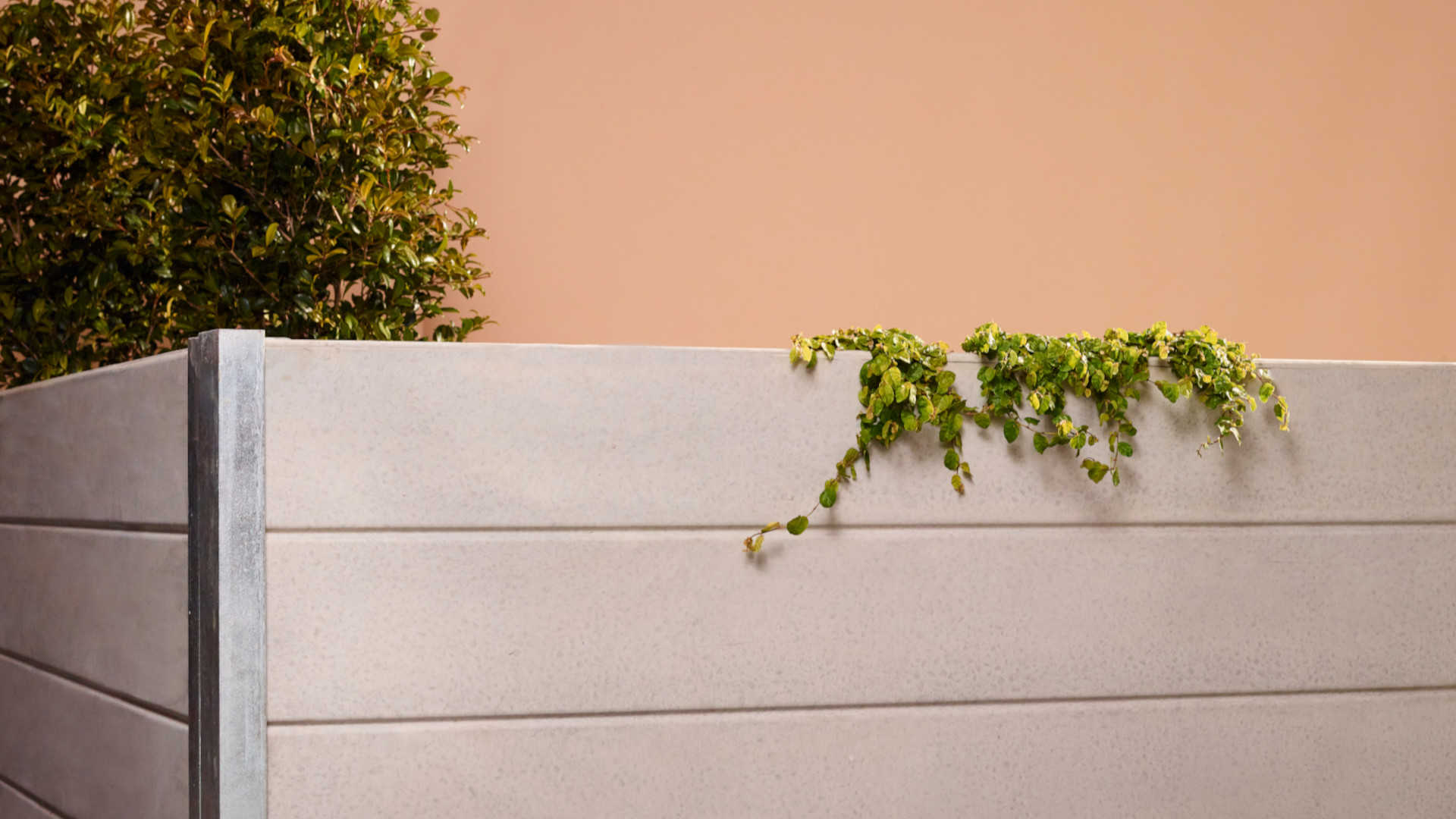 Banner for DIY Guide: Finish your outdoor space with the perfect retaining wall