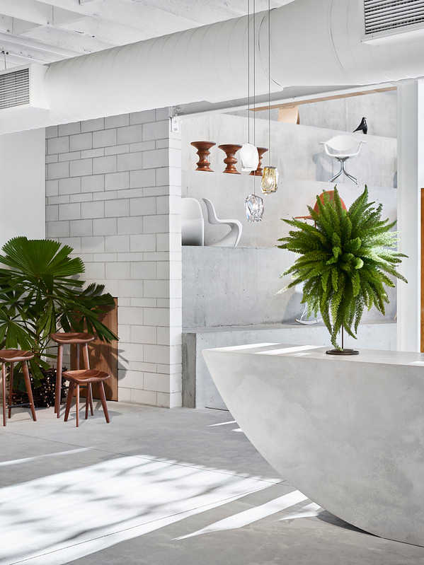 Project Living Edge Furniture Showroom