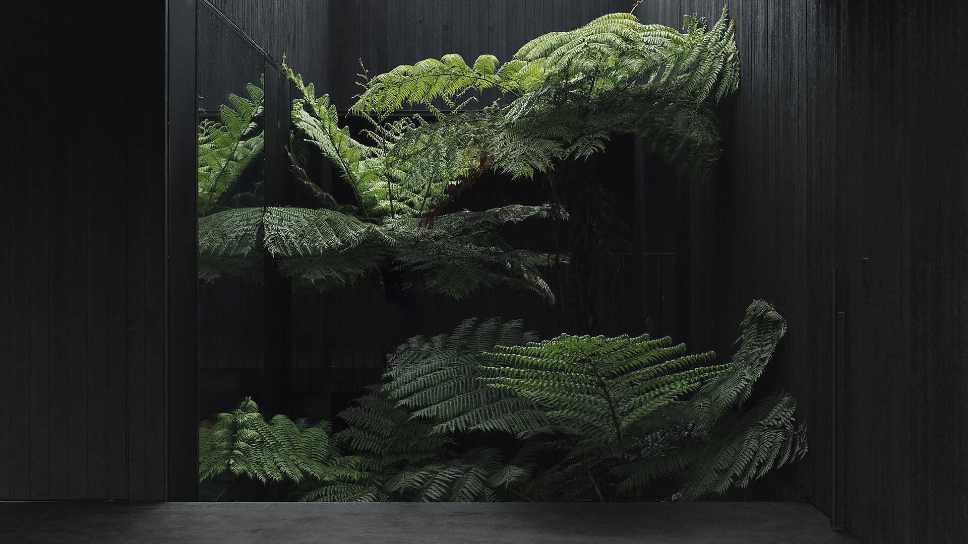 federalhouse-1-1920x1080-1